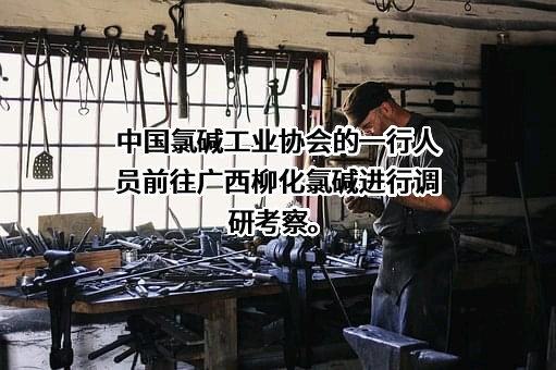 中国氯碱工业协会