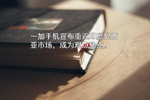 深圳市万普拉斯科技有限公司