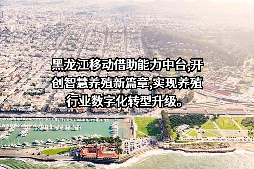 黑龙江移动通信有限责任公司