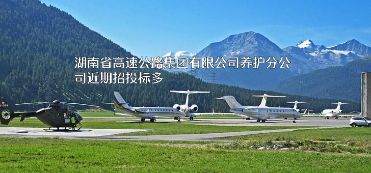 湖南省高速公路集团有限公司养护分公司