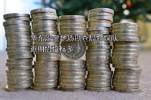 华东冶金地质勘查局物探队