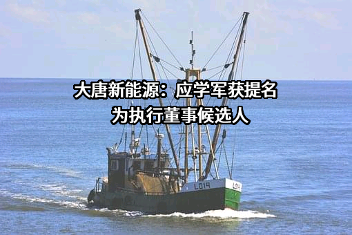 大唐新能源：应学军获提名为执行董事候选人