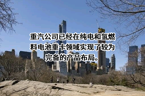 中国重汽集团济南卡车股份有限公司