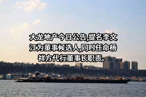 北京市大龙伟业房地产开发股份有限公司