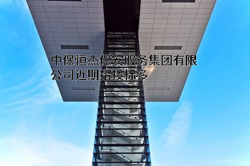 中保恒杰保安服务集团有限公司