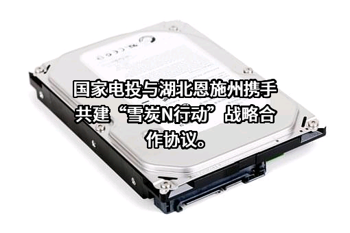 国家电力投资集团有限公司