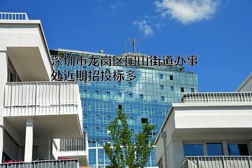 深圳市龙岗区园山街道办事处
