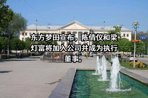梦东方集团有限公司