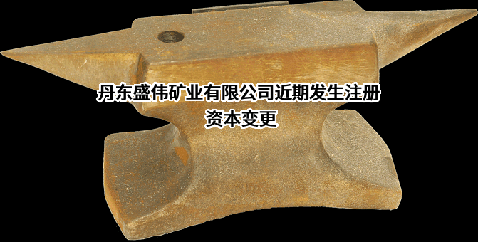 丹东盛伟矿业有限公司