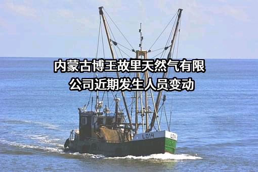 内蒙古博王故里天然气有限公司