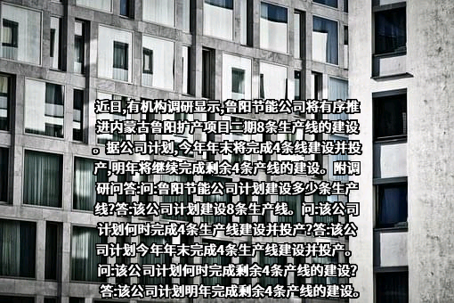山东鲁阳节能材料股份有限公司