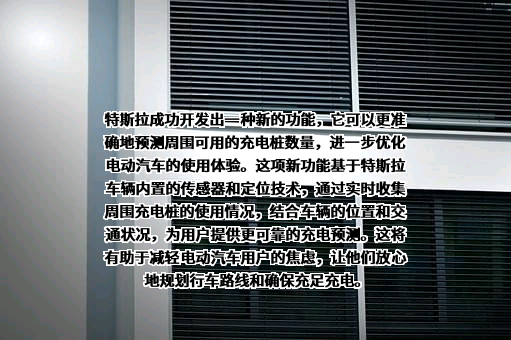 特斯拉（上海）有限公司