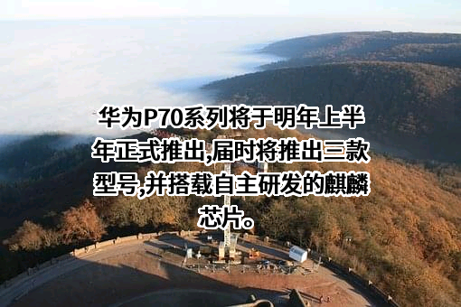 华为技术有限公司