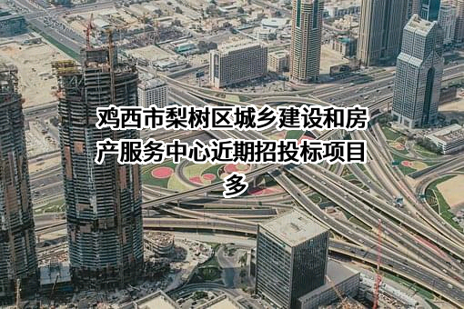 鸡西市梨树区城乡建设和房产服务中心