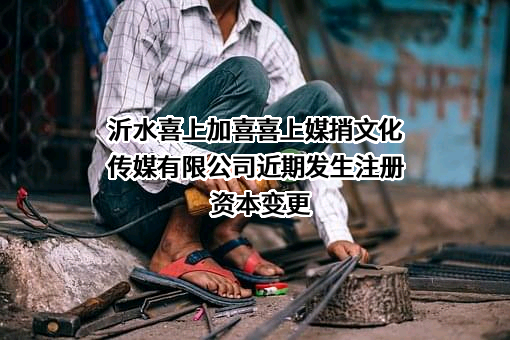 沂水喜上加喜喜上媒捎文化传媒有限公司