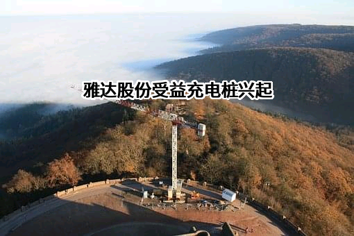 雅达股份受益充电桩兴起