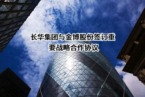 湖南金博碳素股份有限公司