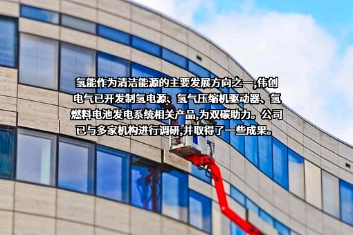 苏州伟创电气科技股份有限公司