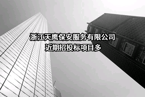 浙江天鹰保安服务有限公司