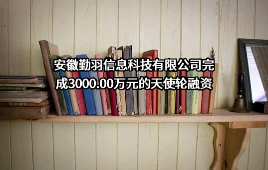 安徽勤羽信息科技有限公司完成3000.00万元的天使轮融资