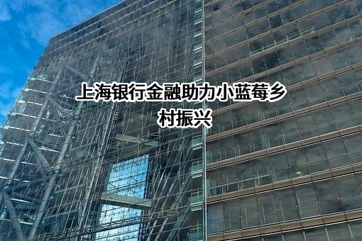 上海银行股份有限公司
