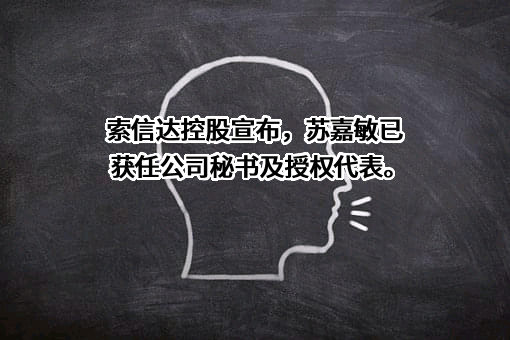 深圳索信达数据技术有限公司