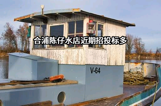 合浦陈仔水店