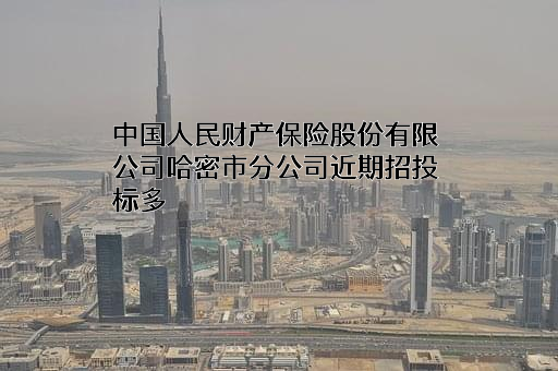 中国人民财产保险股份有限公司哈密市分公司近期招投标项目多
