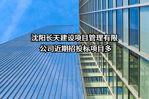 沈阳长天建设项目管理有限公司