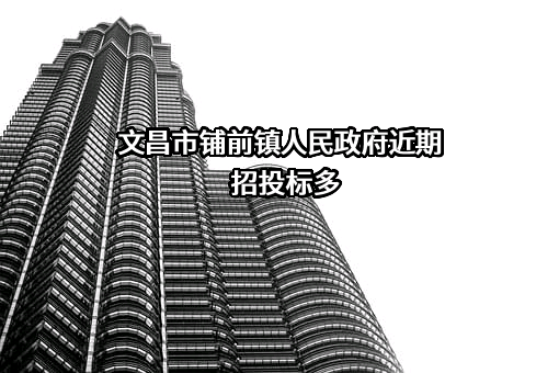 文昌市铺前镇人民政府