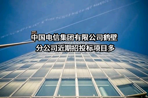 中国电信集团有限公司鹤壁分公司