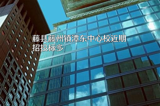 藤县藤州镇潭东中心校近期招投标项目多