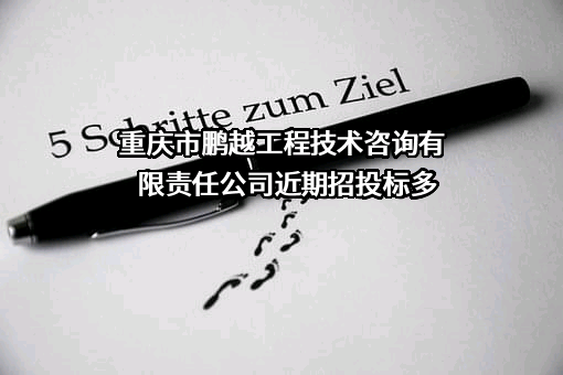 重庆市鹏越工程技术咨询有限责任公司