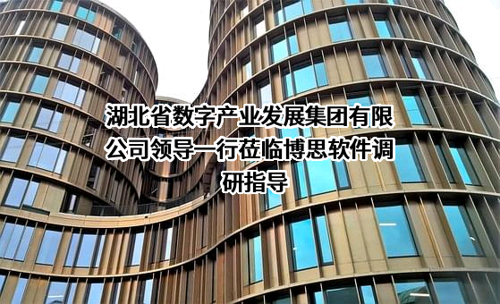湖北省数字产业发展集团有限公司