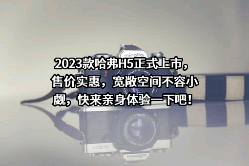 长城汽车股份有限公司