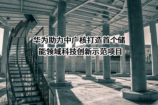 华为技术有限公司