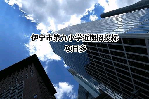 伊宁市第九小学