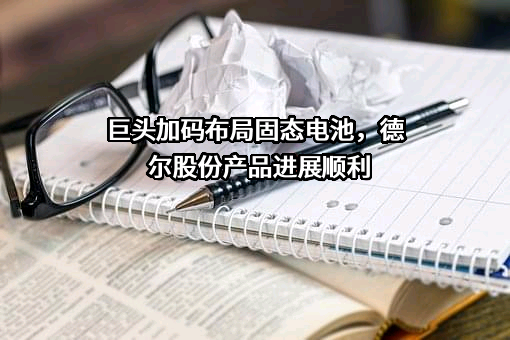 阜新德尔汽车部件股份有限公司