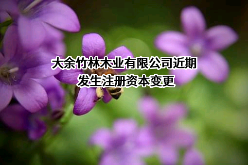 大余竹林木业有限公司近期发生注册资本变更