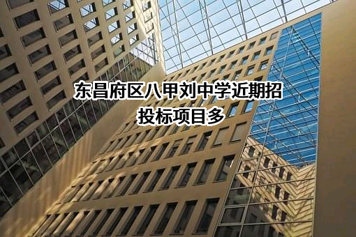 东昌府区八甲刘中学