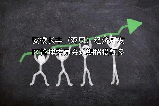 安徽长丰（双凤）经济开发区管理委员会近期招投标项目多