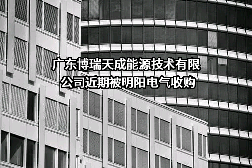广东博瑞天成能源技术有限公司
