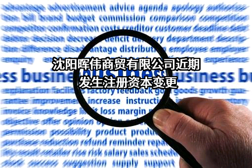 沈阳晖伟商贸有限公司