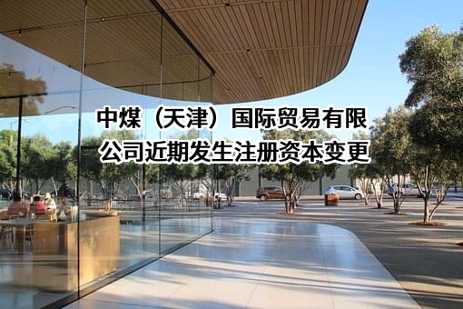 中煤（天津）国际贸易有限公司