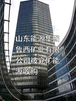 山东能源集团鲁西矿业有限公司