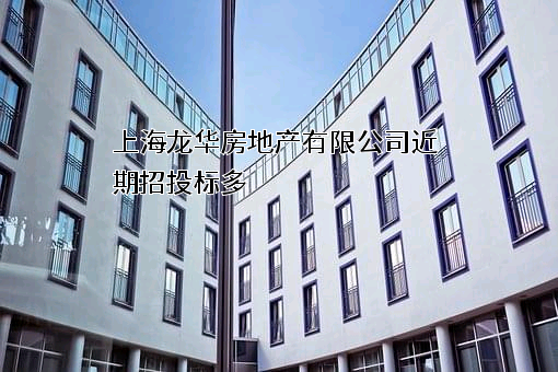 上海龙华房地产有限公司