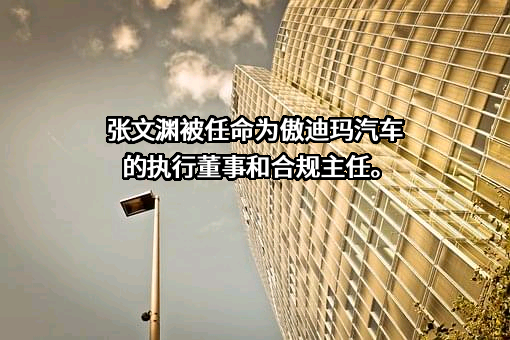 湖南傲迪玛汽车有限公司