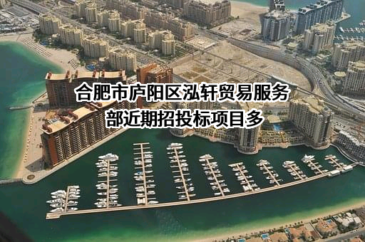 合肥市庐阳区泓轩贸易服务部近期招投标项目多