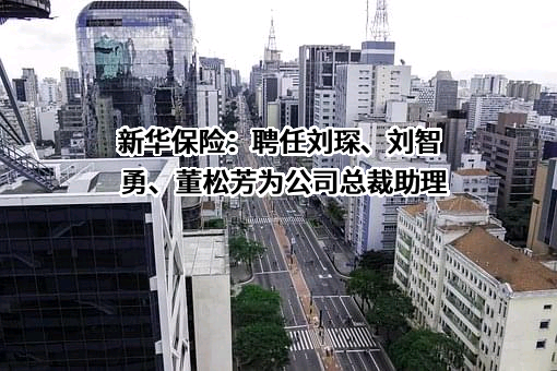 新华人寿保险股份有限公司