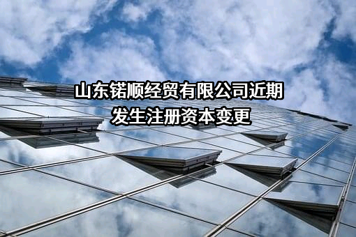山东锘顺经贸有限公司